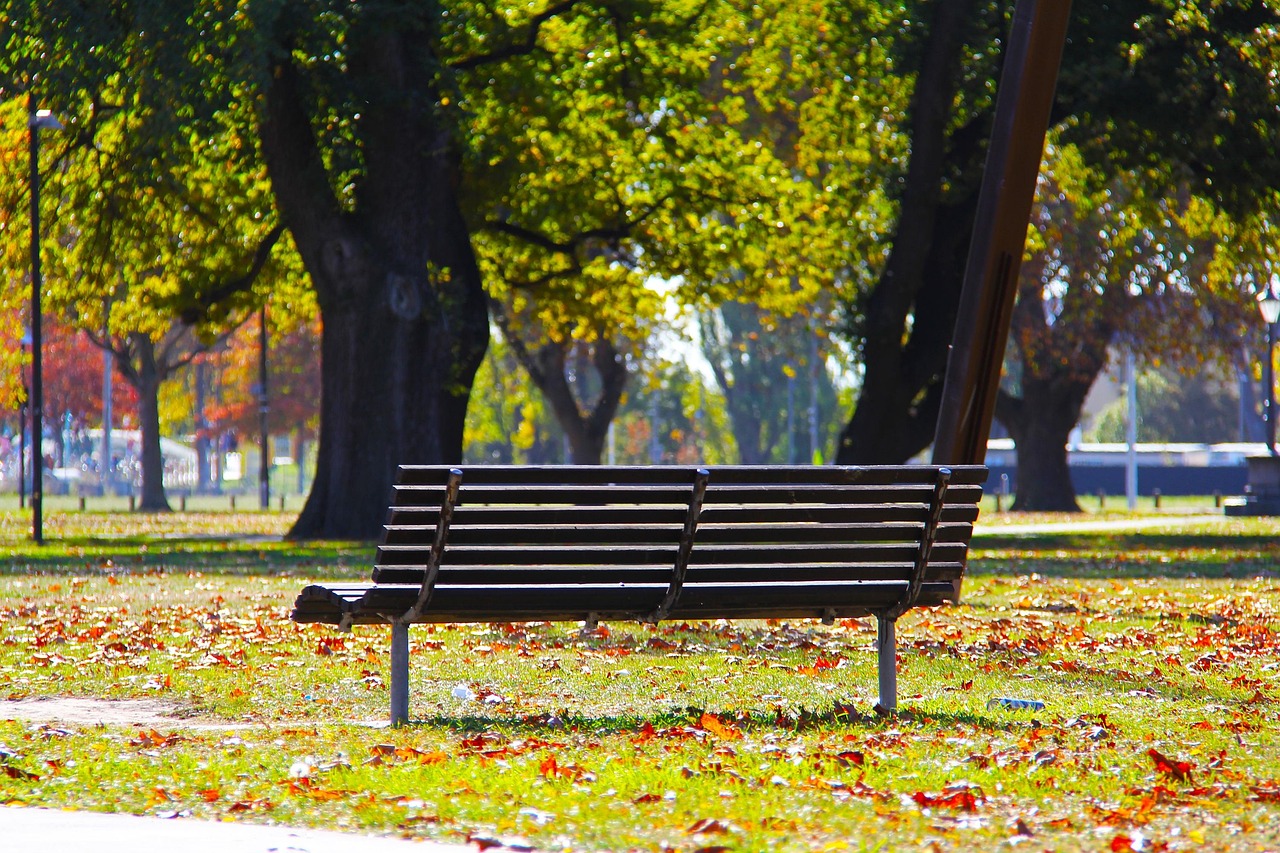 New Zealand Study Cities: A 2027 Cost‑of‑Living Comparison